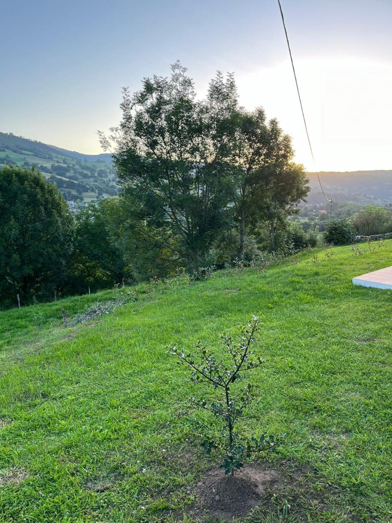 Holiday home La Casuca De Barcena